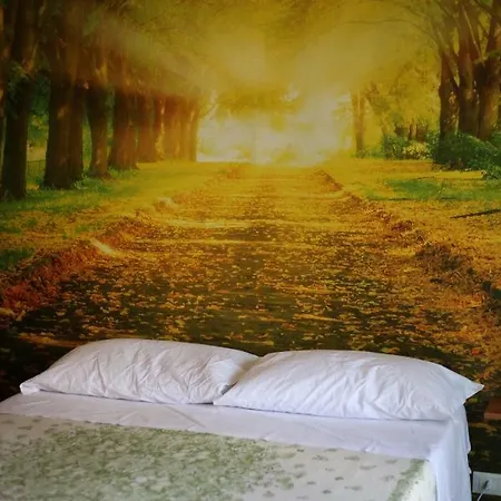 Bed & Breakfast La Casa Dell'orso Ciampino